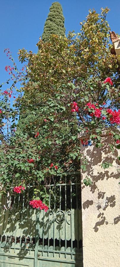 Athenian Asty Guesthouse Εξωτερικό φωτογραφία